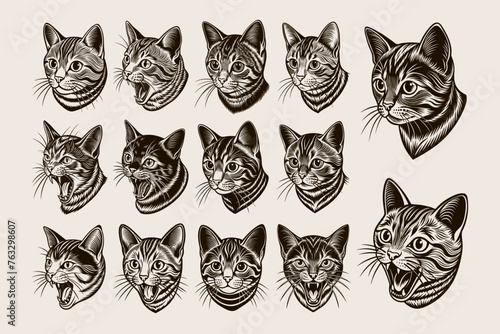 Pack of british shorthair cat tshirt design vector