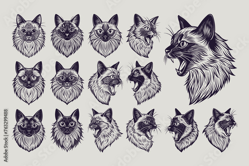 Set of detailed meowing birman cat head design vector