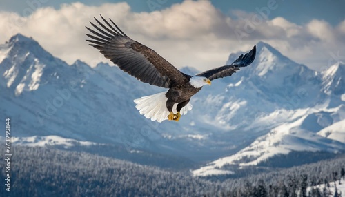 Isaiah 40:31: Rise on Wings like Eagle. High Flying Eagle with Wings Open. Bible Prophecy photo