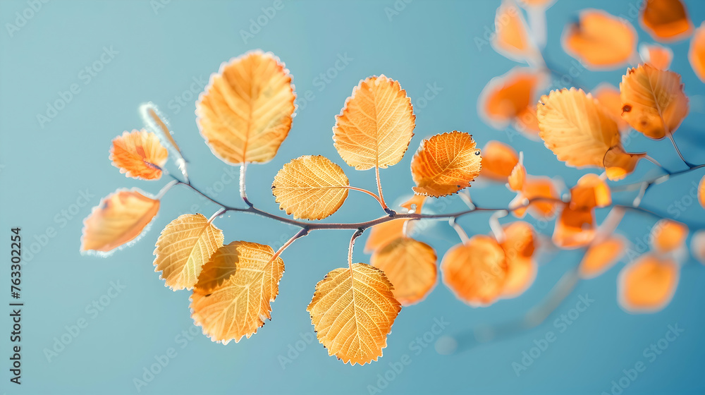 A close-up of delicate autumn foliage, showcasing the intricate details of each leaf in shades of orange and gold against a backdrop of azure blue A close-up of delicate autumn foliage, showcasing the intricate details of each leaf in shades of orange and gold against a backdrop of azure blue