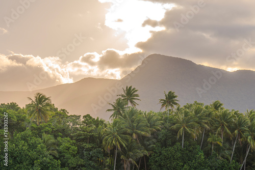 Landscape of a tropical forest with palm trees and mountains in the background during sunset