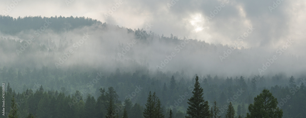 Mountain taiga, a wild place in Siberia. Coniferous forest, morning fog, panoramic view.	