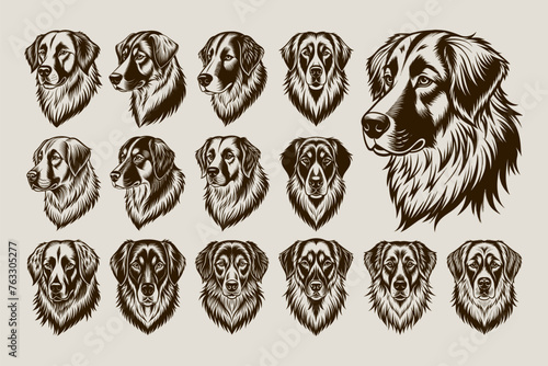 Collection of anatolian shepherd dog head tshirt design vector photo