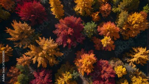 Photo real with nature theme for Crimson Woods concept as Autumnal forests with a burst of red and orange foliage from above ,Full depth of field, clean light, high quality ,include copy space, No no