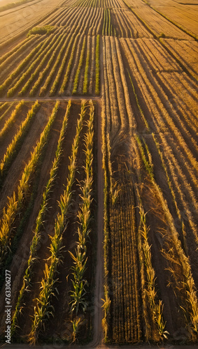 Photo real with nature theme for Golden Harvest concept as Aerial shot of farmlands with patterns of harvest-ready crops at sunset   Full depth of field  clean light  high quality  include copy space 