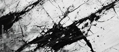 A monochrome photograph featuring a broken glass surrounded by twigs, grass, and soil, creating a captivating pattern in the blackandwhite landscape