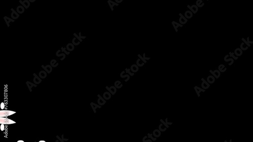 Animation of Easter bunnies looking out chaotically. Video animation isolated on a transparent background with a alpha channel.
