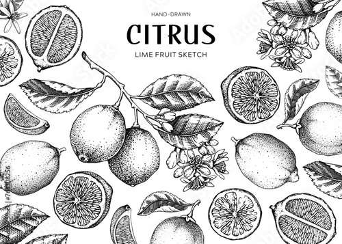 Lime fruit frame. Exotic plants design template. Citrus fruit sketches; Summer background. Hand-drawn vector illustration. 