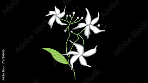 Crape Jasmine flowers - Elegant White Blooms on a Black Canvas