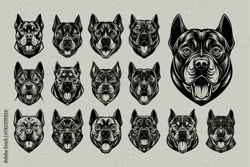 Front view barking american bully dog face illustration design bundle