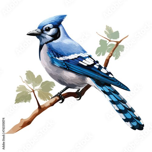 Blue Jay Clipart clipart isolated on white background