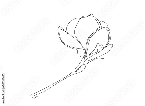 Continuous Line Magnolia Flower Vector Icon, Monoline Flowering Magnolia Stellata, One Line Star Magnolia Silhouette, Shapes Illustration