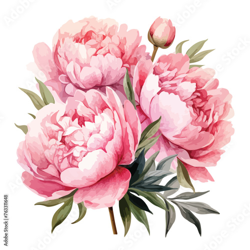 Pink peonies clipart isolated on white background