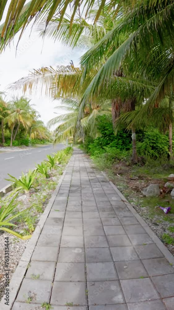 First view person walking at street under palms trees on Fuvahmulah island. Vertical footage First view person walking at street under palms trees on Fuvahmulah island. Vertical footage