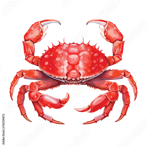 Red King Crab clipart isolated on white background