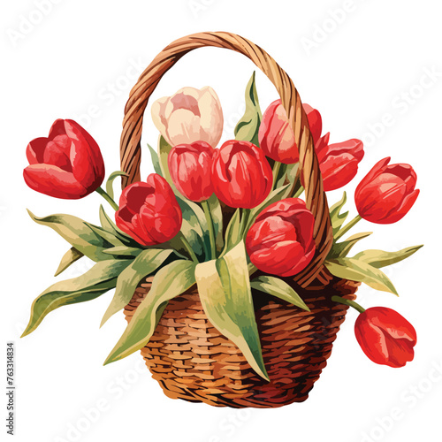 Red Tulips Basket Clipart isolated on white background