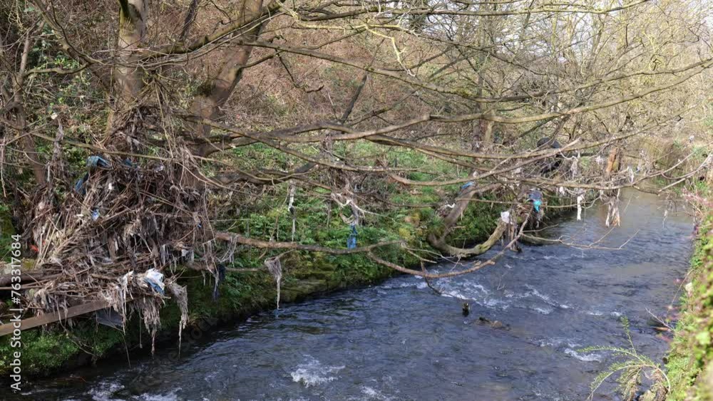 View of Bradford Beck flowing on a clear day. It flows out of central Bradford, and is often polluted with rubbish or sewage. Here litter can be seen caught in branches of overhanging trees. View of Bradford Beck flowing on a clear day. It flows out of central Bradford, and is often polluted with rubbish or sewage. Here litter can be seen caught in branches of overhanging trees.