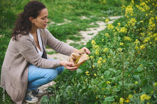 Full length portrait of young woman herbalist botanist picking healing flowers in the meadow in the mountains outdoors