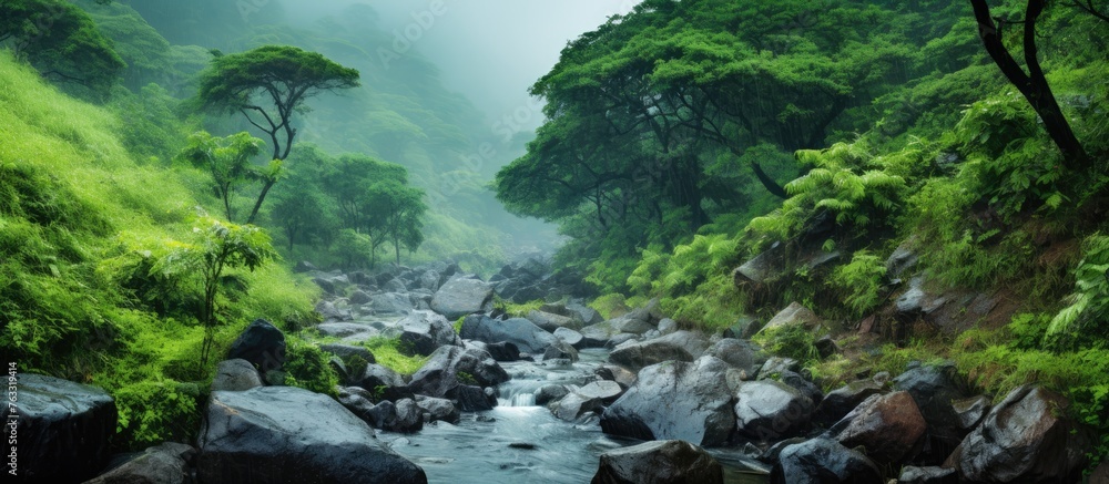 Obraz premium A river flowing amidst a vibrant green jungle landscape, with rocks and trees lining its banks, showcasing the beauty of natures fluvial landforms and terrestrial plants