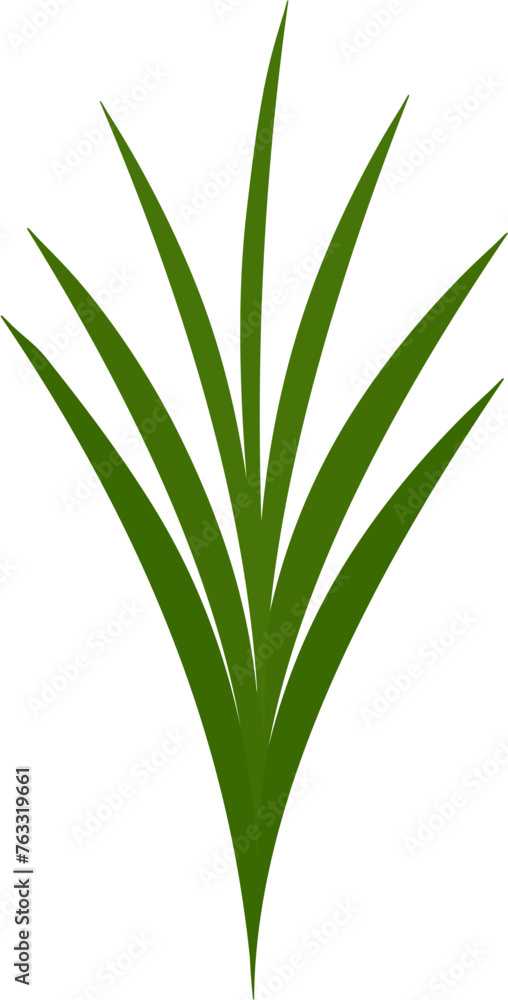 Obraz premium hand drawn botanical element