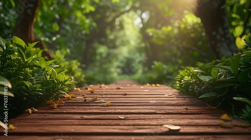 Landscape of timber pathway with the changing environment