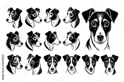 Detailed jack russell terrier dog face illustration design set
