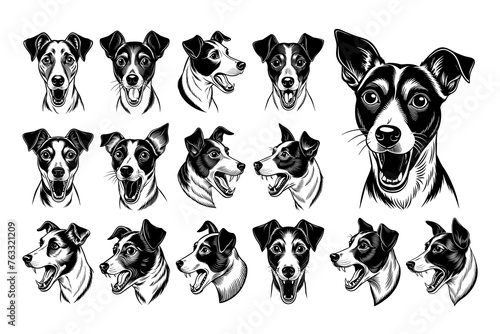 Collection of funny jack russell terrier dog head illustration design