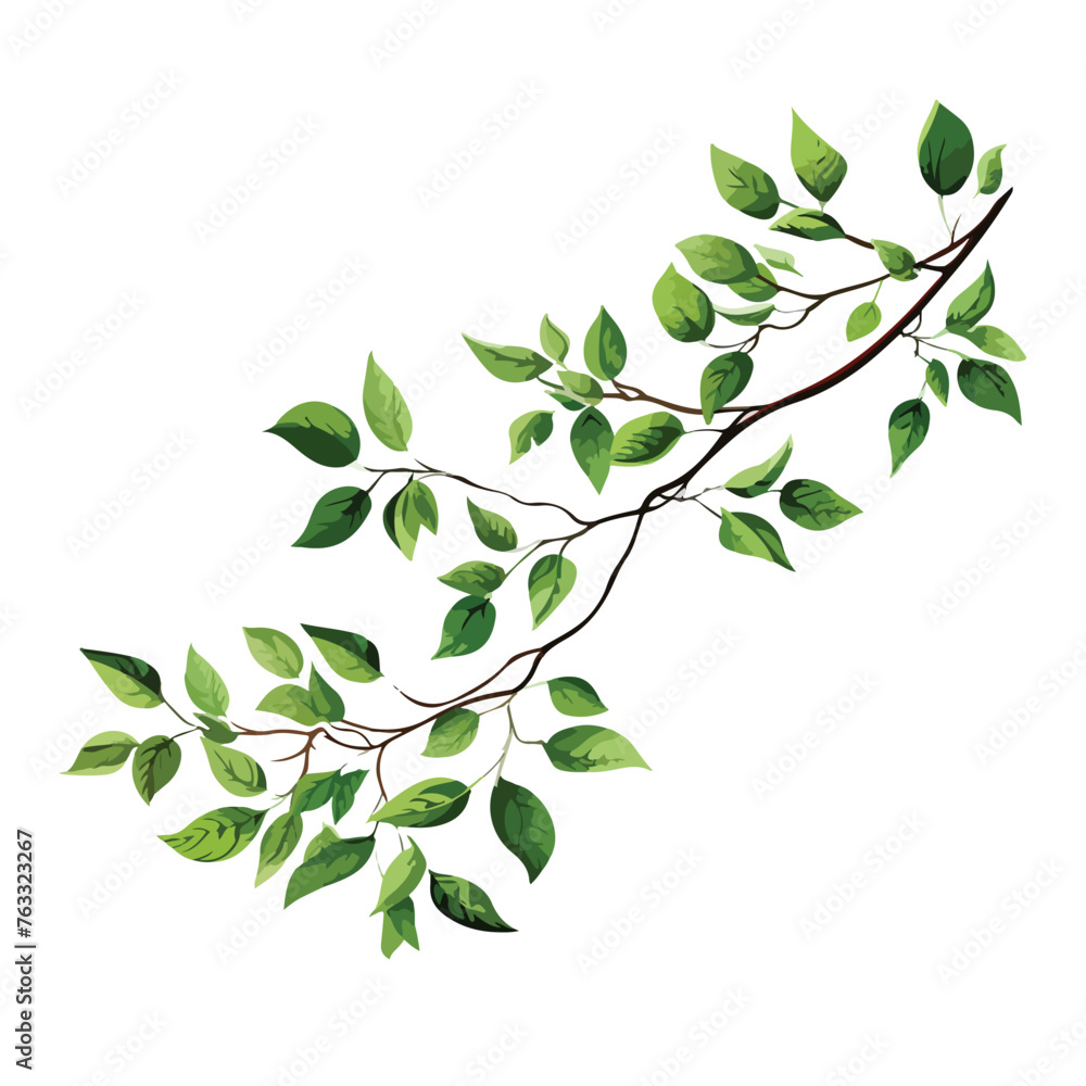 Tree Branch Leaves clipart isolated on white background