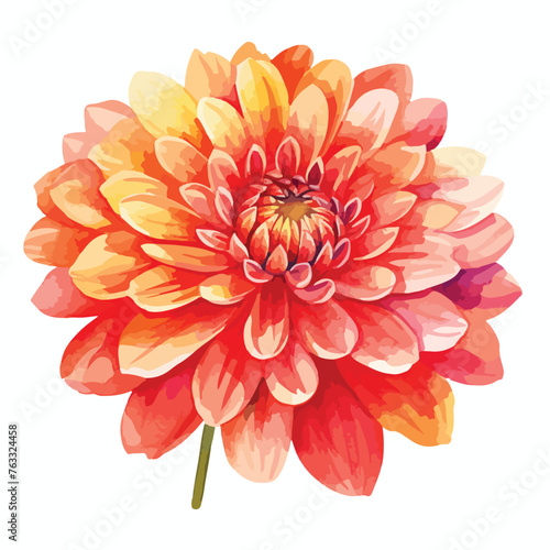 Fototapeta Naklejka Na Ścianę i Meble -  Vibrant Watercolor Dahlia Flower 