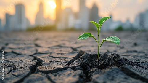 Little plant in dried cracked mud against a background of city skyline.