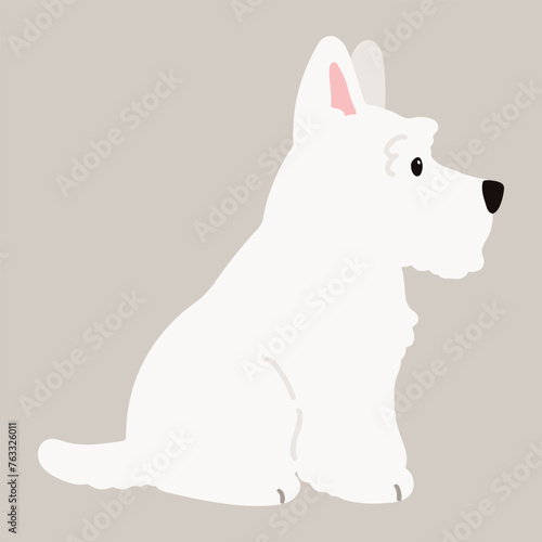 Simple and adorable white Scottish Terrier illustration sitting in side view flat colored