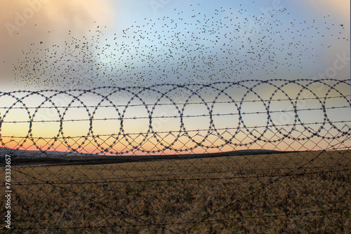 Bilde på lerret metal and electric fences protecting the field