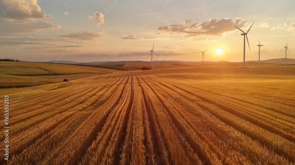 Golden wheat field with wind turbines in the background, symbolizing renewable energy and agriculture.