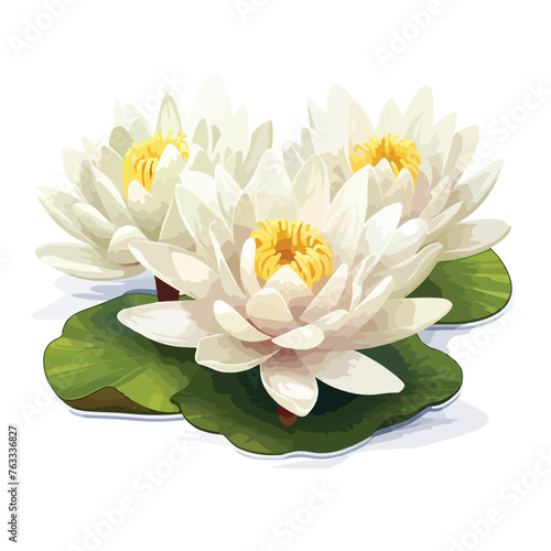 Fototapeta Naklejka Na Ścianę i Meble -  White Water Lily clipart isolated on white background