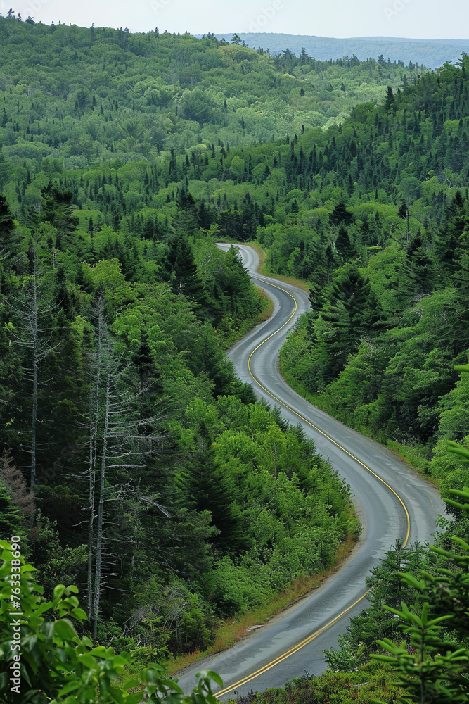 A photo of a long and winding road going through a heavily wooded area
