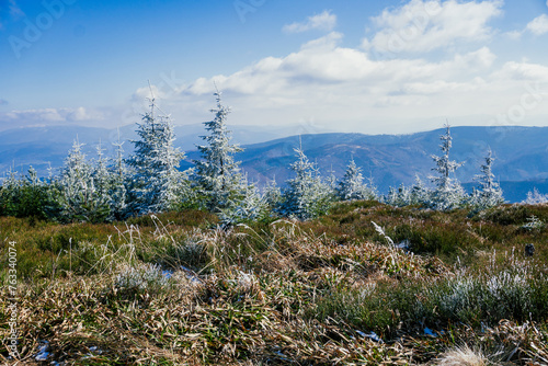 Obraz na płótnie Zima w górach. Beskid Śląski na Śląsku w Polsce, rejon najwyższego szczytu w Beskidzie Śląskim, Skrzycznego w salonie