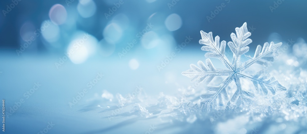 Snowflakes scattered on snowy ground Snowflakes scattered on snowy ground