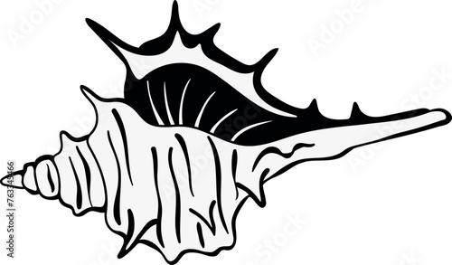 Seashell black icon. Conch drawing. Beach symbol