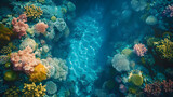 Top view capturing the intricate details of a coral reef, space allocated for copy, strictly no text, logos, brand marks, or letters, 16k sharpness, cinematic depth, natural hues
