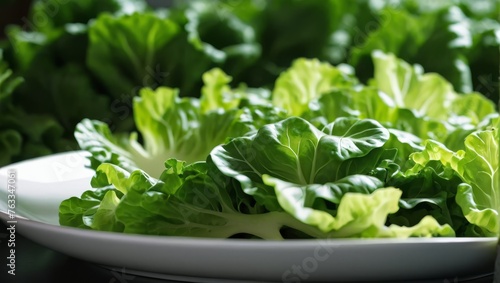  A close-up image of a plate filled with lettuce against a backdrop of additional lettuce on a table