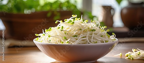 Bowl of sprouts and watercress with raw mung bean sprouts on table
