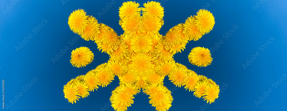 A composition of bright yellow dandelion flowers in the shape of a sun in the center of a blue sky in the background. A composition of bright yellow dandelion flowers in the shape of a sun in the center of a blue sky in the background.