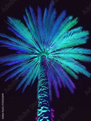 Night shot of a blue palm tree