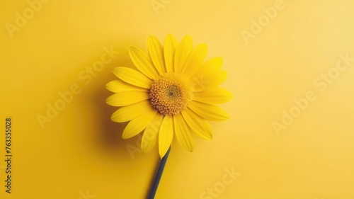 One yellow flower on yellow monochrome background. Copy space, place for text, empty space. View from above.