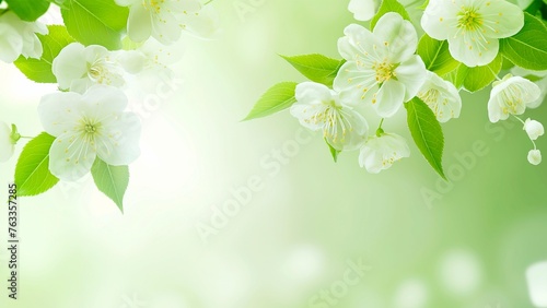 Light green background with white small flowers and green leaves.