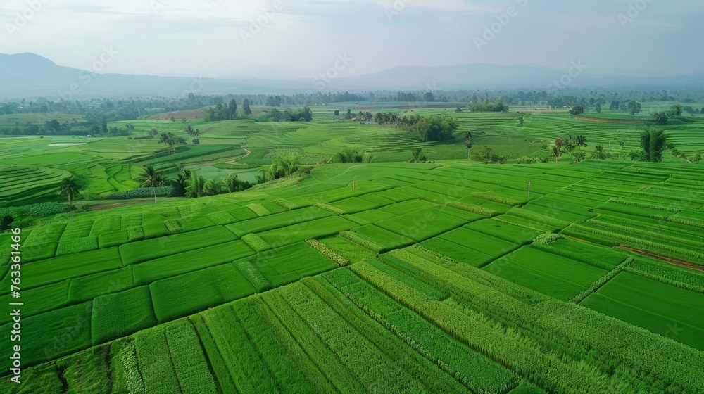 Aerial view of cultivated agricultural farming land