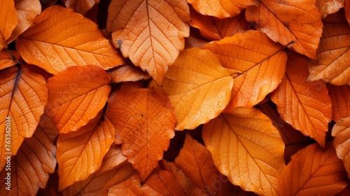 Background group autumn orange leaves 
