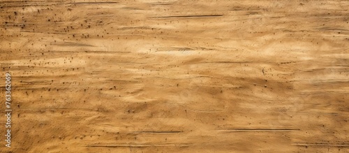 Rough wooden texture close ...