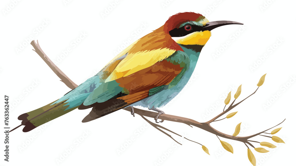 European bee-eater Merops apiaster on the branch 