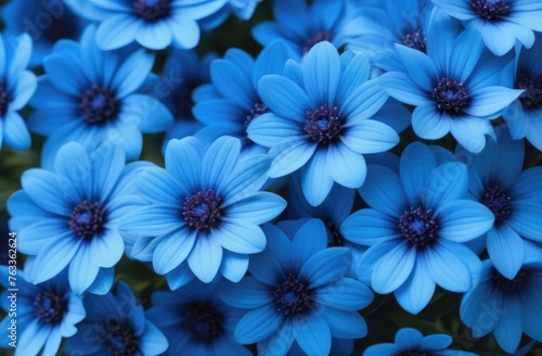 Blue flowers background. View from above.